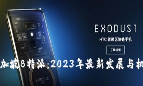 揭秘新加坡B特派：2023年最新发展与机遇分析
