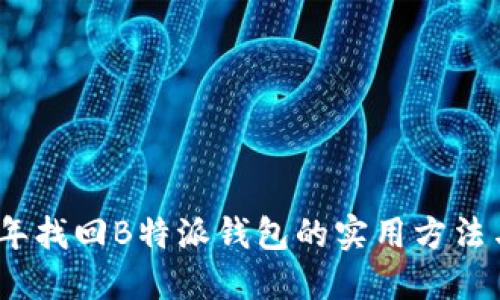 2023年找回B特派钱包的实用方法与步骤