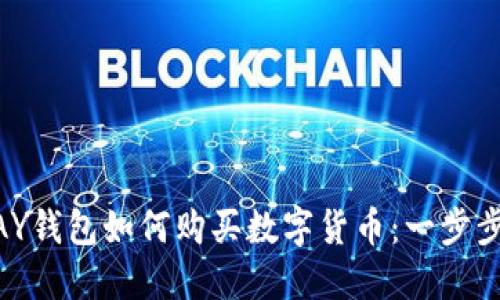 CGPAY钱包如何购买数字货币：一步步指南