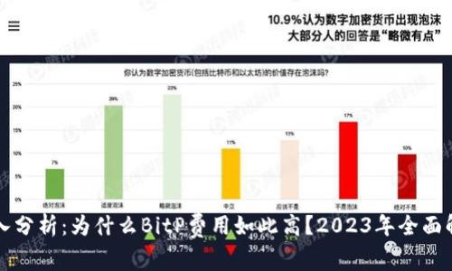 深入分析：为什么BitP费用如此高？2023年全面解析