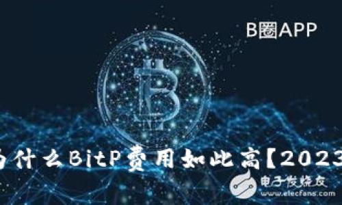 深入分析：为什么BitP费用如此高？2023年全面解析