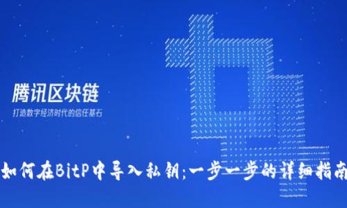 如何在BitP中导入私钥：一步一步的详细指南
