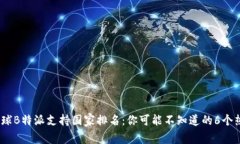 2023年全球B特派支持国家排