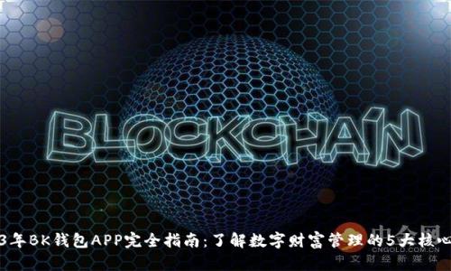 2023年BK钱包APP完全指南：了解数字财富管理的5大核心特点