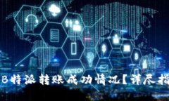 如何查询B特派转账成功情
