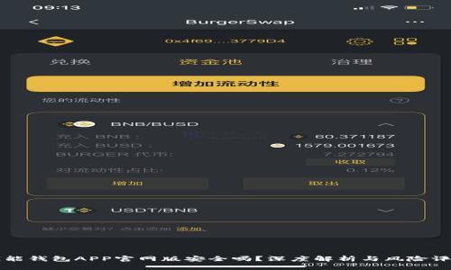 钱能钱包APP官网版安全吗？深度解析与风险评估
