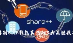 辨别BitP钱包真伪的5大关键