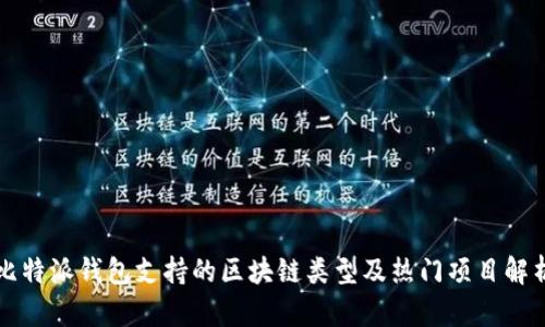 比特派钱包支持的区块链类型及热门项目解析