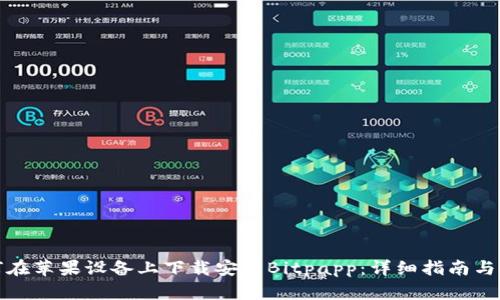 如何在苹果设备上下载安装Bitpapp：详细指南与技巧