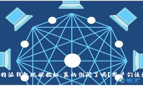 2023年B特派钱包现状揭秘：真的倒闭了吗？用户们该如何应对？