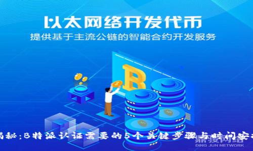 揭秘：B特派认证需要的5个关键步骤与时间安排