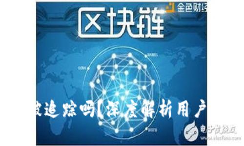 冷钱包：它能被追踪吗？深度解析用户隐私与安全性