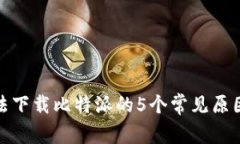 安卓用户无法下载比特派