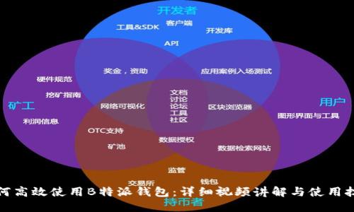 如何高效使用B特派钱包：详细视频讲解与使用技巧