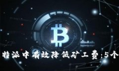 如何在比特派中有效降低