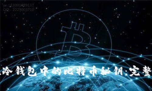 如何找回遗忘在冷钱包中的比特币秘钥：完整指南与经验分享