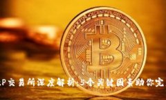 2023年BitP交易所深度解析：