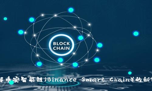BSC钱包：了解币安智能链（Binance Smart Chain）的秘密与使用指南