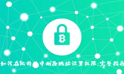 如何在比特派中删除地址设置权限：完整指南