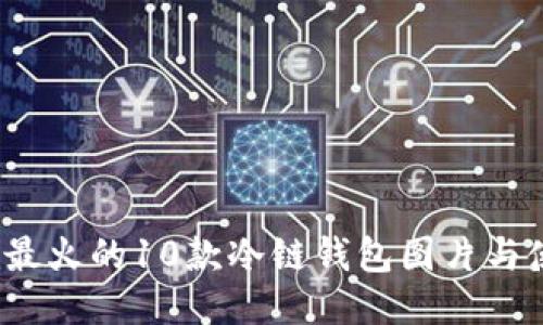 2023年最火的10款冷链钱包图片与使用指南