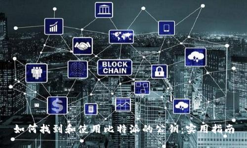 如何找到和使用比特派的公钥：实用指南