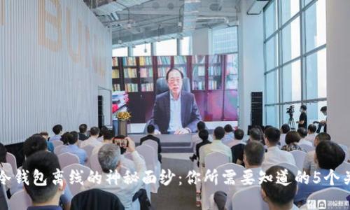 揭开冷钱包离线的神秘面纱：你所需要知道的5个关键点