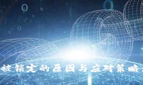 数字钱包被锁定的原因与应对策略：完全指南
