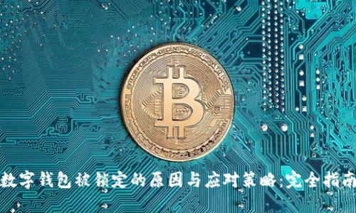 数字钱包被锁定的原因与应对策略：完全指南