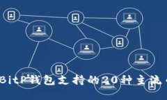 2023年BitP钱包支持的20种主