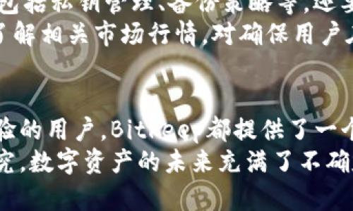   2023年Bitkeep钱包兑换流程详解：5个步骤轻松完成数字资产交易 / 

 guanjianci Bitkeep钱包, 数字资产, 兑换流程, 加密货币 /guanjianci 

什么是Bitkeep钱包？
随着区块链和加密货币的迅速发展，数字资产的管理方式也在不断演变。Bitkeep钱包应运而生，作为一个多链数字资产钱包，Bitkeep不仅支持多种主流和小众加密货币的存储和管理，还有着易于操作的兑换机制，正逐渐受到用户的青睐。
Bitkeep钱包拥有安全性高、界面友好的特点，用户可以通过手机或电脑轻松访问。它同时也提供了去中心化交易所、NFT市场等多种功能，让用户在一个平台上就能完成大部分交易需求。

为何选择Bitkeep进行资产兑换？
市场上有很多种类的钱包，选择哪个钱包进行资产管理和兑换，一定要考虑安全性、便捷性、支持的币种以及手续费等各个方面。
Bitkeep钱包在这方面具有明显的优势。首先，其采用了国际先进的加密技术，保障用户资产的安全。同时，Bitkeep支持的币种种类繁多，用户可以在平台上实现丰富的兑换选择。而且，Bitkeep还配置了一系列的用户指引和客服支持，大大减低了新手用户的入门难度。

Bitkeep钱包的兑换流程
在了解了Bitkeep钱包的基本功能后，接下来让我们进入Bitkeep钱包的实际兑换流程。这一流程分为五个简单的步骤，每一步都有详细的指导，确保用户能够顺利完成兑换。

步骤一：下载安装Bitkeep钱包
首先，用户可以在手机应用商店或Bitkeep官方网站下载安装钱包应用。下载安装过程中，确保从正规的渠道下载软件，以避免安全隐患。安装完成后，打开应用并注册账户，根据提示完成身份验证及钱包设置，确保钱包安全。

步骤二：充值资金到Bitkeep钱包
创建好账户后，用户需要将资金充值到Bitkeep钱包中。用户可以选择通过币种转账、买币等方式将资产转入钱包。在转账时，确保输入的地址正确，避免资产损失。

步骤三：选择兑换的币种
资金充值完成后，打开Bitkeep钱包主界面，用户可以看到“兑换”功能选项。点击该选项后，进入币种选择页面。在此页面，用户可以查看当前支持的币种，并选择需要兑换的币种及数量。如果不确定币种的兑换率，可以在页面上查看实时行情。

步骤四：确认并发起兑换
经过币种选择后，用户可以查看兑换的详细信息，包括兑换额、手续费、预计到账时间等。确认无误后，用户可以提交兑换申请。一旦用户点击确认，由于优质的网络和技术支持，Bitkeep通常会在短时间内完成兑换，并将兑换后的资产汇入用户的钱包中。

步骤五：查看交易记录
兑换完成后，用户可以在钱包中查看交易记录，这里会显示每一笔交易的详细情况，包括时间、金额和状态。了解交易状态有助于用户更安心地管理个人资产。同时，Bitkeep允许用户导出交易记录，便于后续的财务管理。

注意事项及常见问题解答
在整个兑换过程中，用户要注意一些常见问题，比如交易手续费、账户安全等。建议考察时查看Bitkeep的钱包安全性，包括私钥管理、备份策略等。还要注意，某些情况下，网络拥堵或其他因素可能导致交易延迟。
对于新手用户，可能在某些步骤上会遇到疑问，这种情况下可以通过Bitkeep提供的客服渠道寻求帮助。此外，学习和了解相关市场行情，对确保用户在兑换过程中做出的决策至关重要。

总结
通过以上的详细步骤，相信大家对Bitkeep钱包的兑换流程有了更加清晰的了解。不论是对加密货币的新手还是有经验的用户，Bitkeep都提供了一个便捷的资产管理平台，以其强大的功能和简洁的操作流程，帮助用户轻松应对日益复杂的数字资产交易需求。
无论是出于方便的管理需求，还是为了完成一次有效的资产兑换，Bitkeep钱包都值得用户作进一步的尝试和深入研究。数字资产的未来充满了不确定性，但合理选择一个良好的钱包，会让你在这一领域的探索变得更加顺畅。