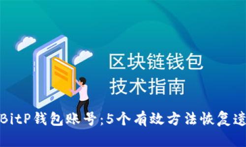 如何找回BitP钱包账号：5个有效方法恢复遗失的密钥