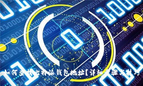 如何查找比特派钱包地址？详细步骤与技巧