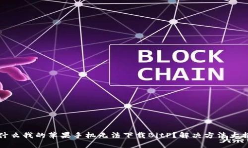 为什么我的苹果手机无法下载BitP？解决方法大揭秘