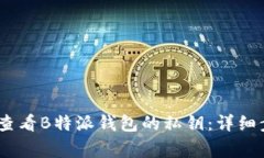 heiraotio如何查看B特派钱包