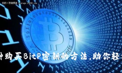 2023年最佳5种购买BitP密钥的方法，助你轻松获取数字资产