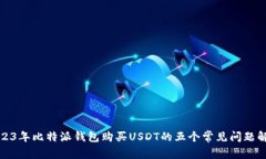 2023年比特派钱包购买USD