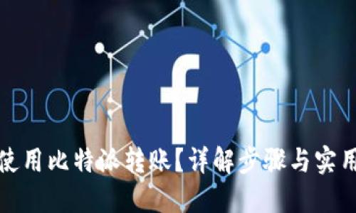 如何使用比特派转账？详解步骤与实用技巧