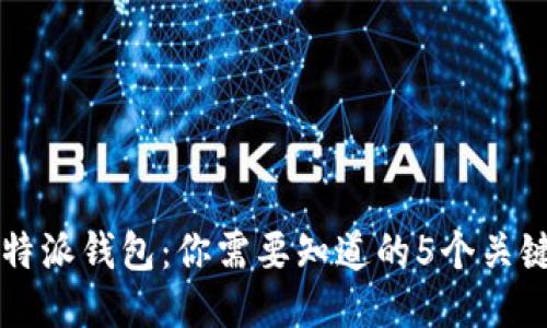 2023年B特派钱包：你需要知道的5个关键财务信息