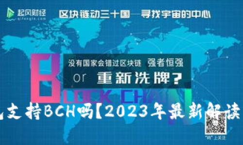 比特派钱包支持BCH吗？2023年最新解读与使用指南