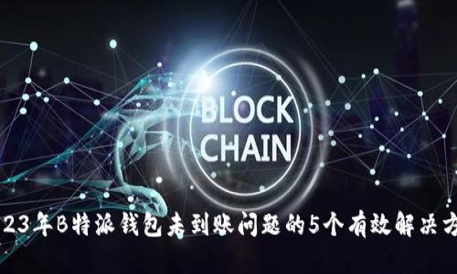 2023年B特派钱包未到账问题的5个有效解决方案