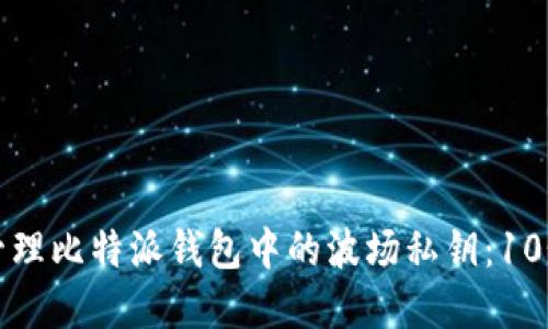 如何安全管理比特派钱包中的波场私钥：10个实用技巧