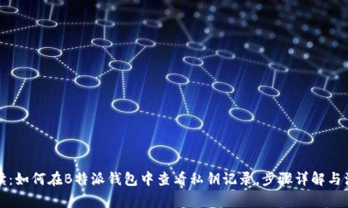 详细解读：如何在B特派钱包中查看私钥记录，步骤详解与注意事项
