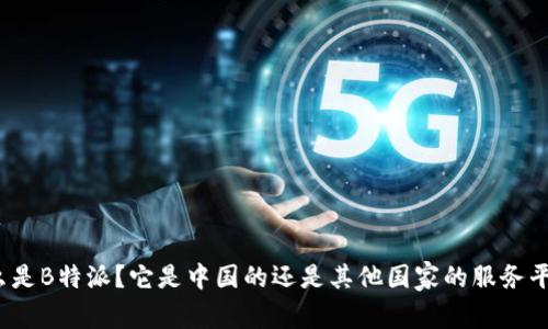 什么是B特派？它是中国的还是其他国家的服务平台？