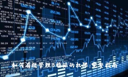 如何有效管理B特派的权限：完整指南