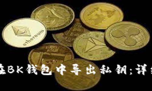 如何在BK钱包中导出私钥：详细指南
