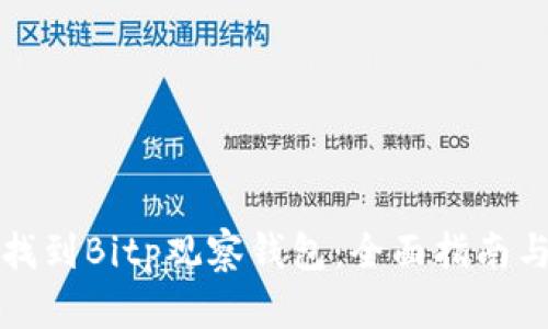 如何找到Bitp观察钱包：全面指南与技巧