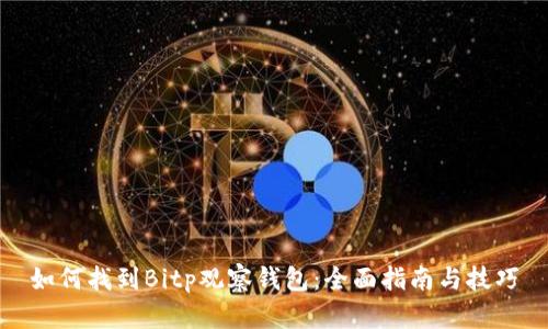 如何找到Bitp观察钱包：全面指南与技巧