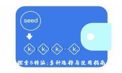探索B特派：多种选择与使