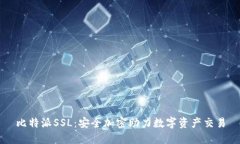 比特派SSL：安全加密助力