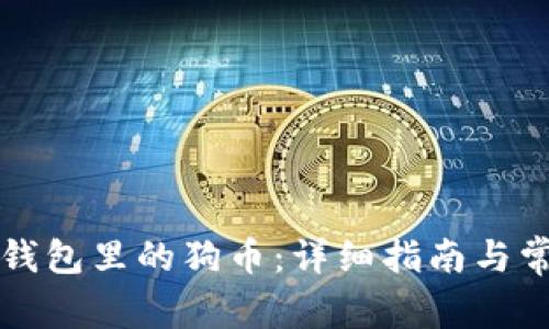 如何找回冷钱包里的狗币：详细指南与常见问题解析